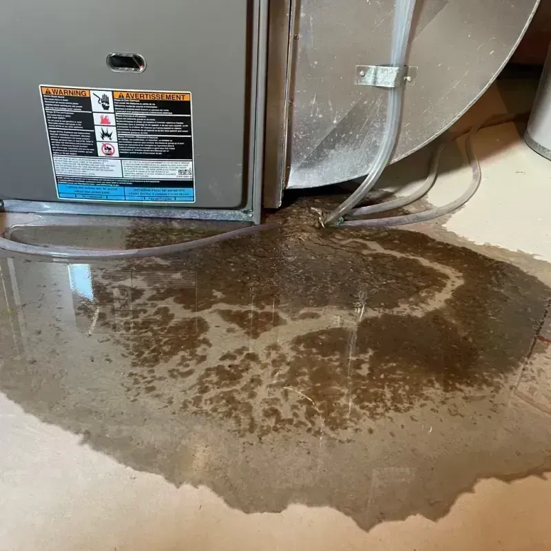 Appliance Leak Cleanup in Riverside, MD